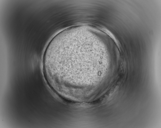 X0000091650811200709201125