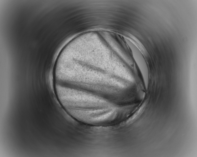 X0000091650812200709201125