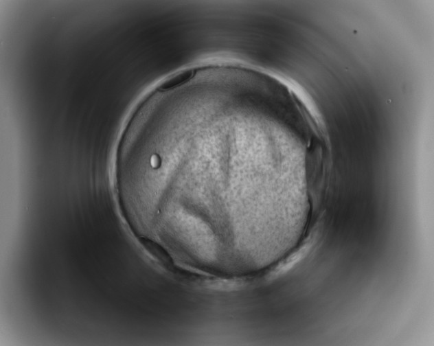 X0000091650815200709201125