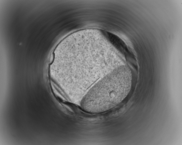 X0000091650816200709201125