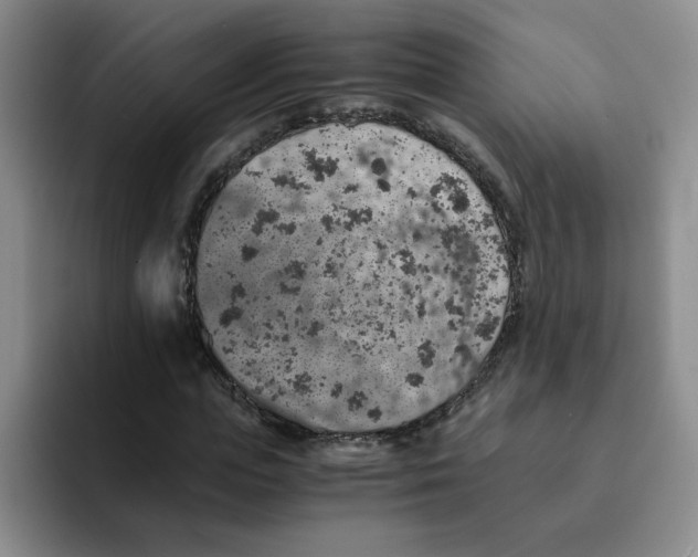 X0000091650823200709201124