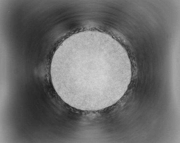 X0000091650824200709201124