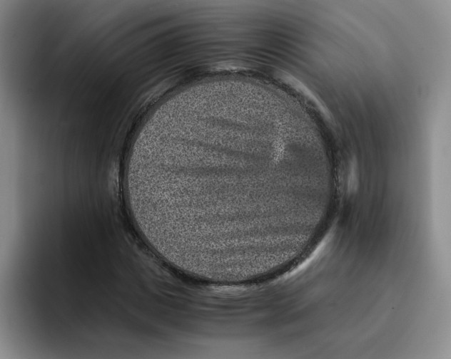 X0000091650825200709201124