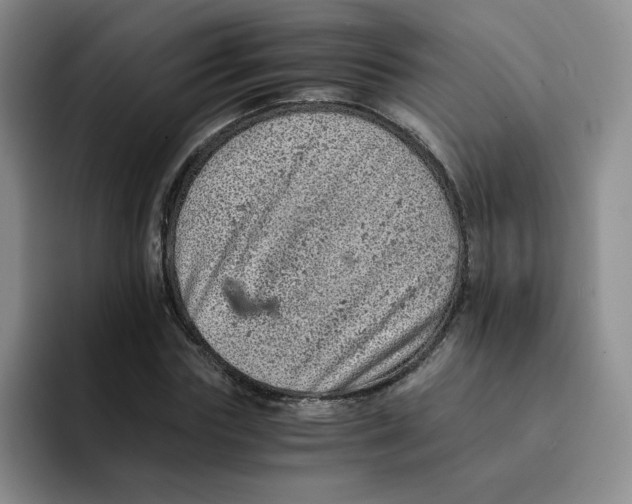 X0000091650827200709201124