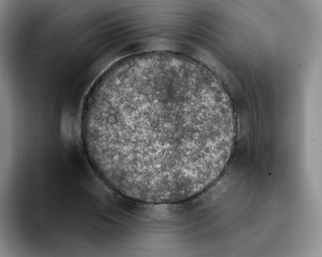 X0000091650828200709201124