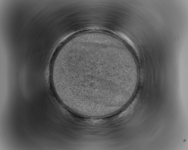 X0000091650831200709201124