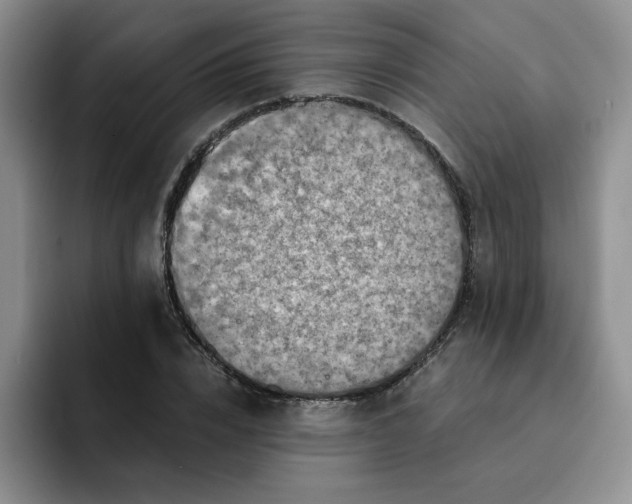 X0000091650832200709201124