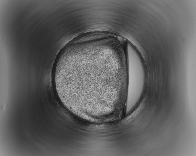 X0000091650834200709201124