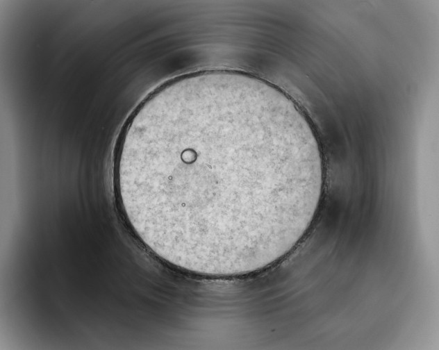 X0000091650836200709201124