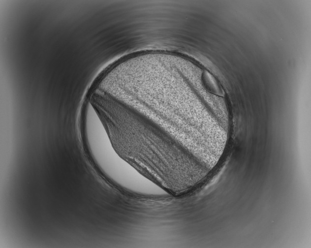 X0000091650838200709201124