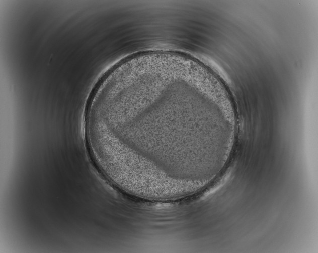 X0000091650839200709201125