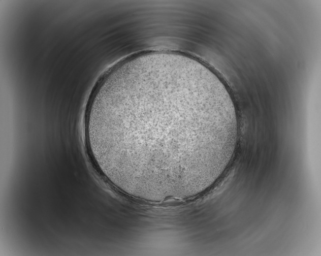 X0000091650840200709201125