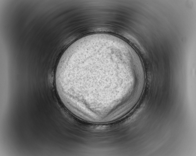 X0000091650841200709201125