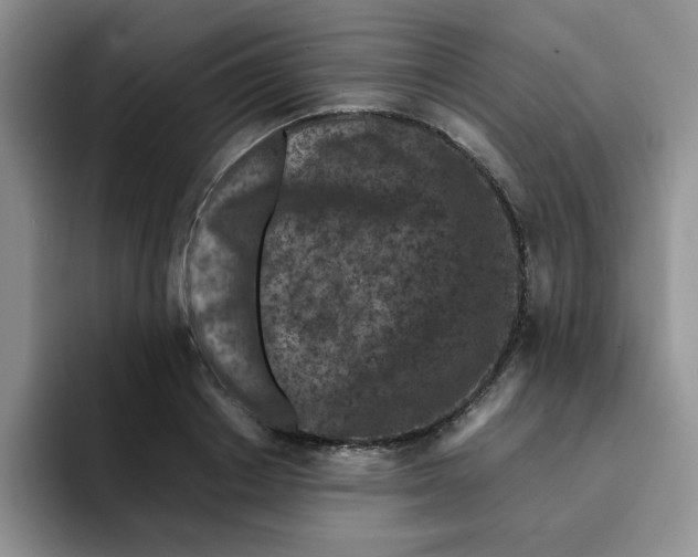 X0000091650842200709201125