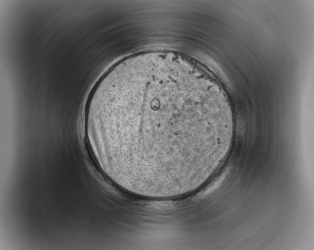 X0000091650844200709201125