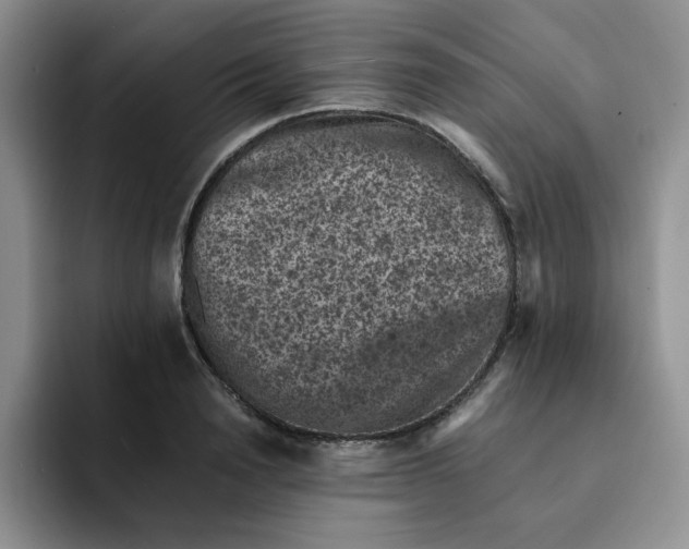 X0000091650846200709201125