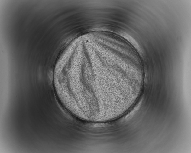 X0000091650849200709201125