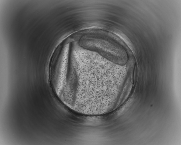 X0000091650850200709201125