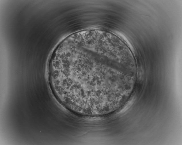 X0000091650851200709201125