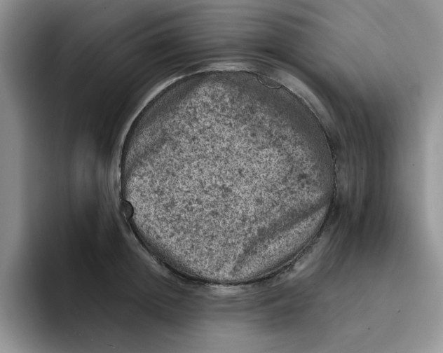 X0000091650852200709201125