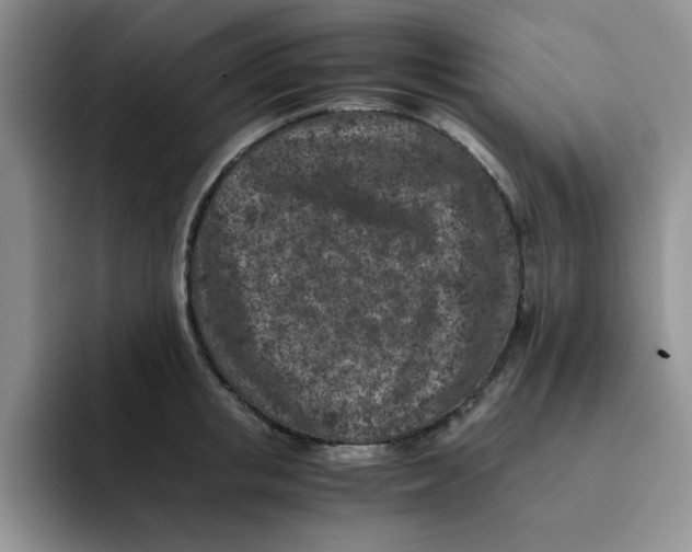 X0000091650853200709201125