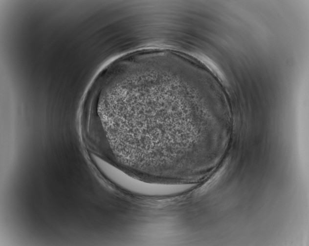 X0000091650854200709201125