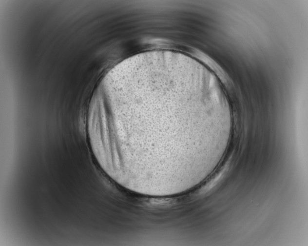 X0000091650857200709201125