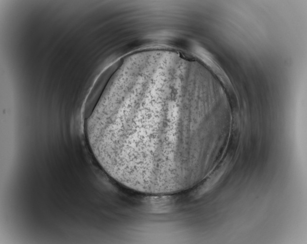 X0000091650858200709201125