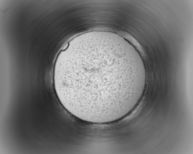 X0000091650860200709201125