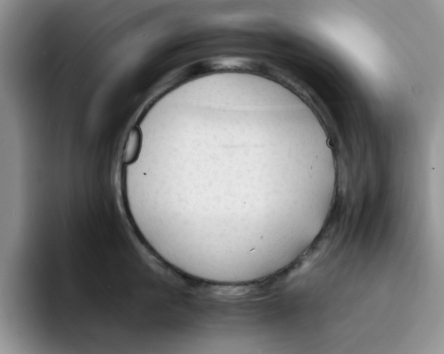 X0000091650861200709201125