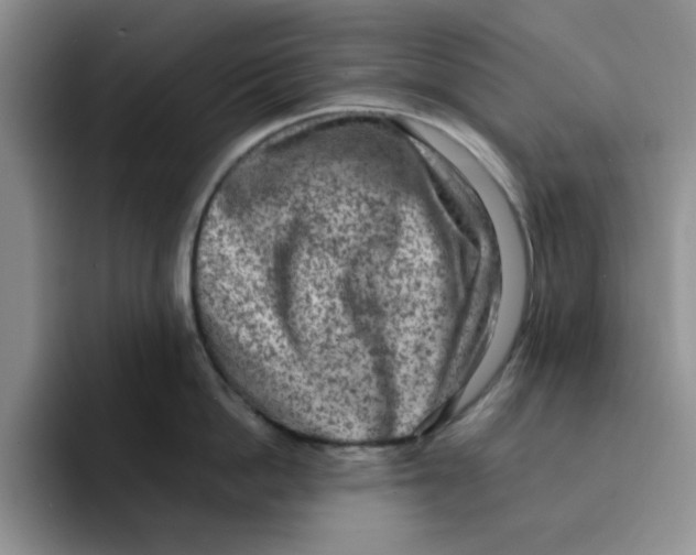 X0000091650862200709201125