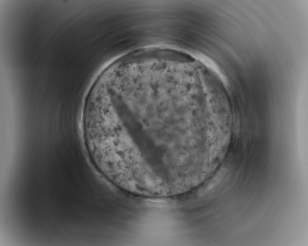 X0000091650863200709201125