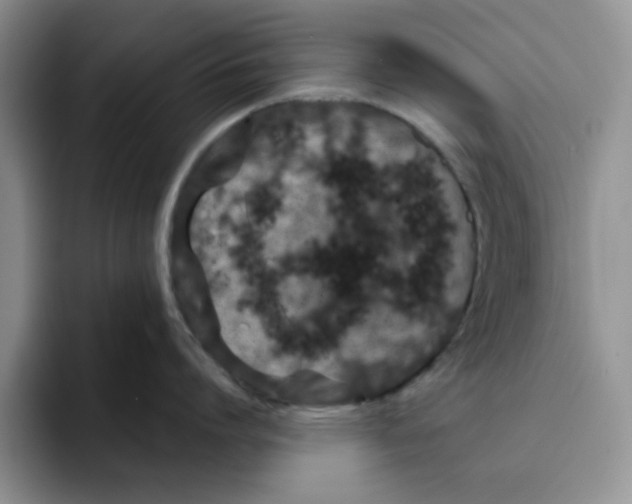 X0000091650864200709201125