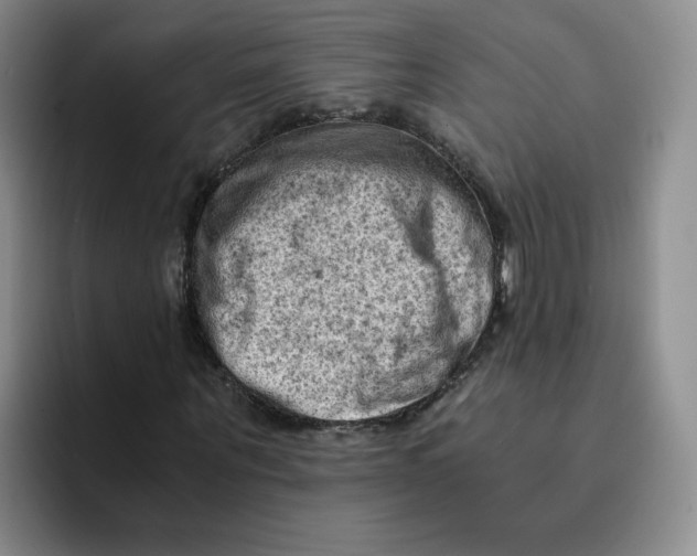 X0000091650867200709201124