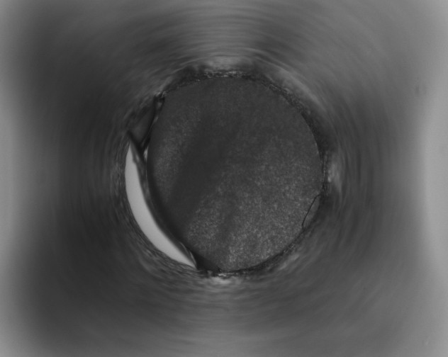 X0000091650868200709201124