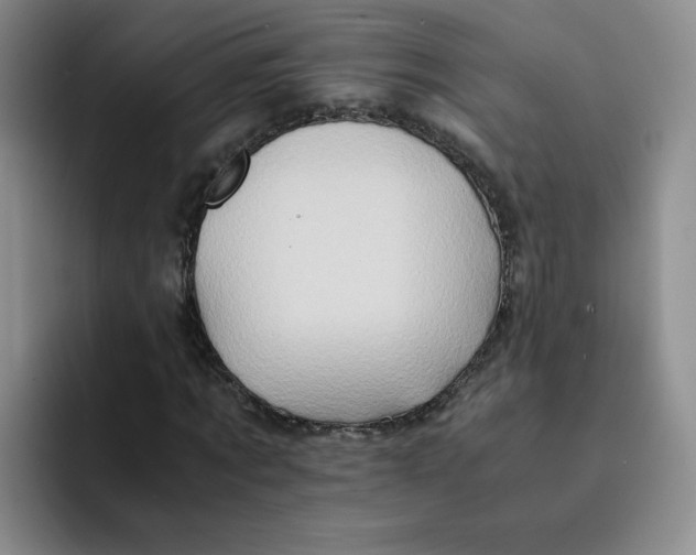 X0000091650869200709201124