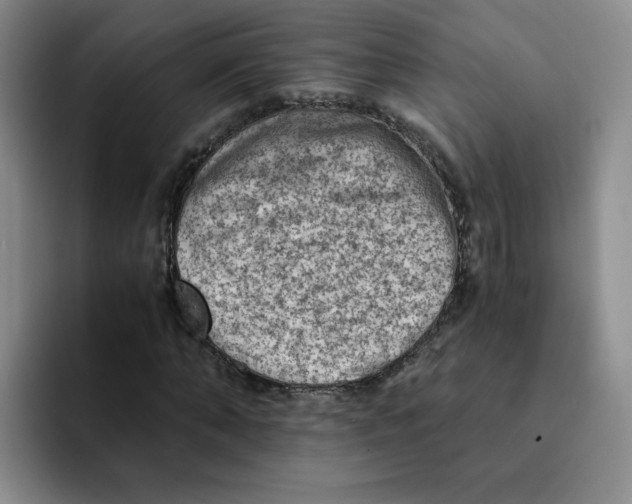 X0000091650870200709201124