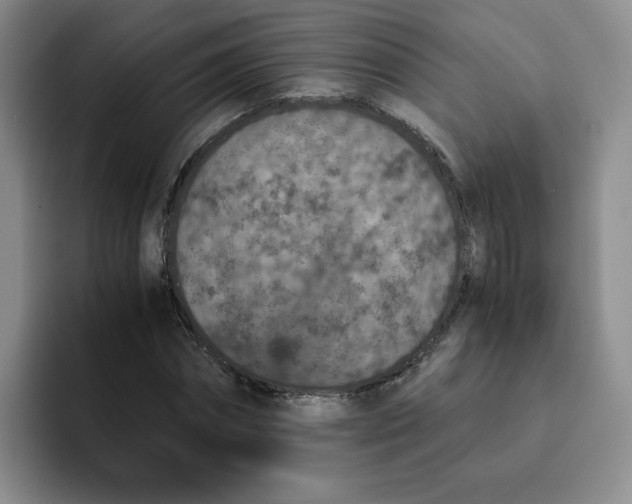 X0000091650874200709201124