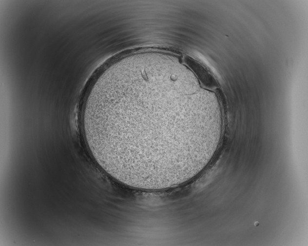 X0000091650875200709201124