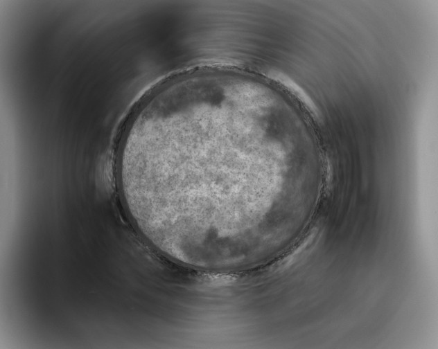 X0000091650878200709201124