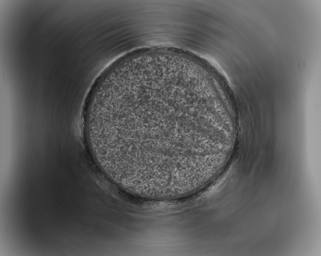 X0000091650879200709201124