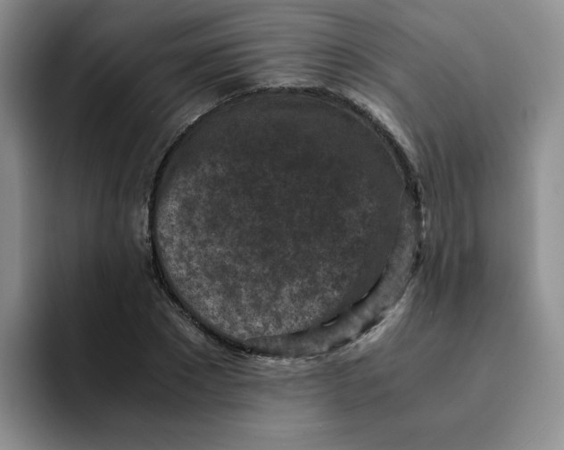 X0000091650881200709201124