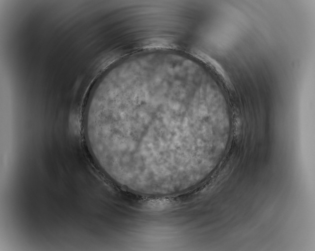 X0000091650882200709201124