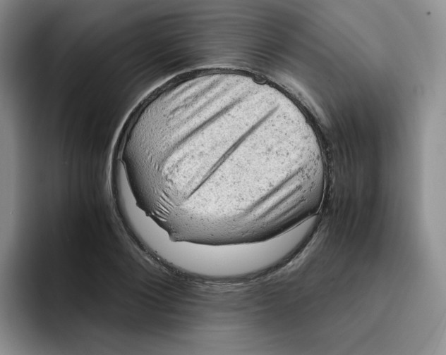 X0000091650884200709201124