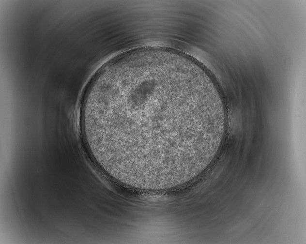 X0000091650886200709201124