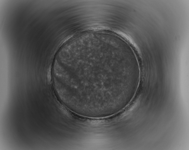 X0000091650889200709201124