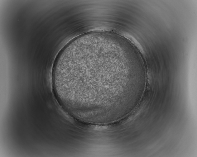 X0000091650890200709201124