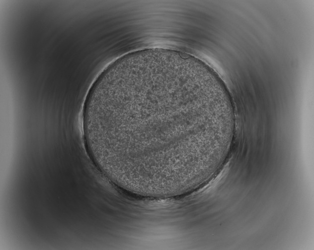 X0000091650891200709201124