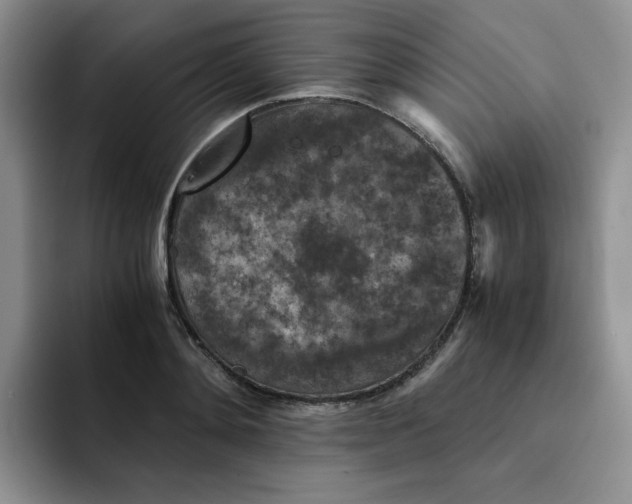 X0000091650892200709201124