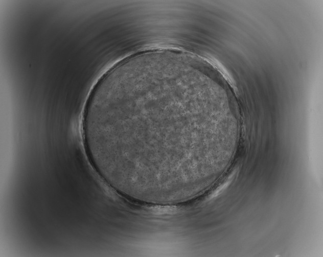 X0000091650893200709201124